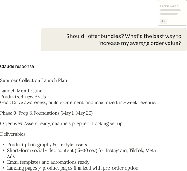 Product Launch Director example